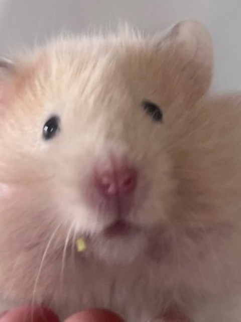 愛沢　リリア 3